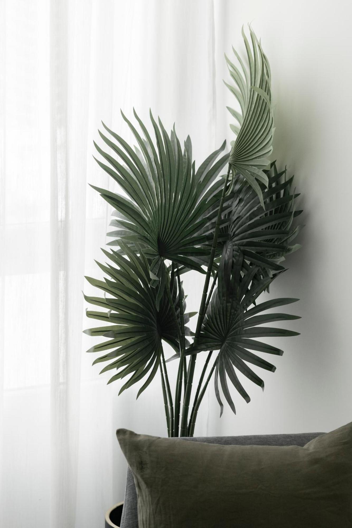 Edificio Botanica Alicante Centro By Renthas 客房 照片